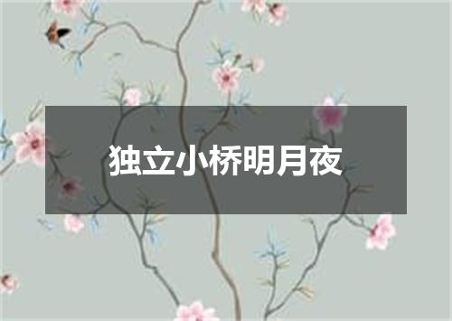 独立小桥明月夜