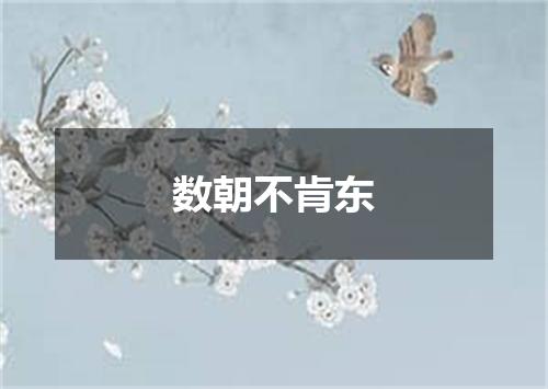 数朝不肯东