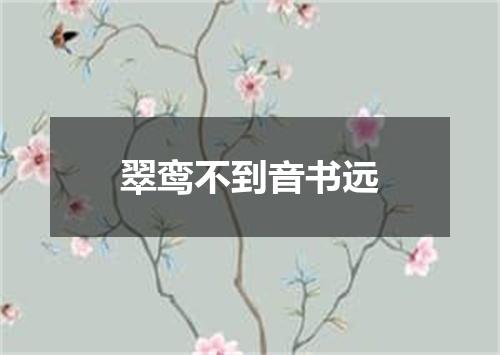 翠鸾不到音书远