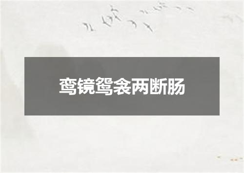 鸾镜鸳衾两断肠
