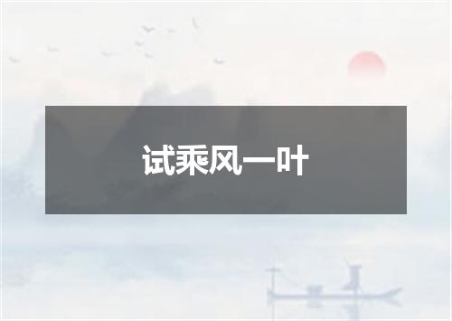 试乘风一叶