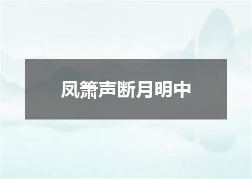 凤箫声断月明中