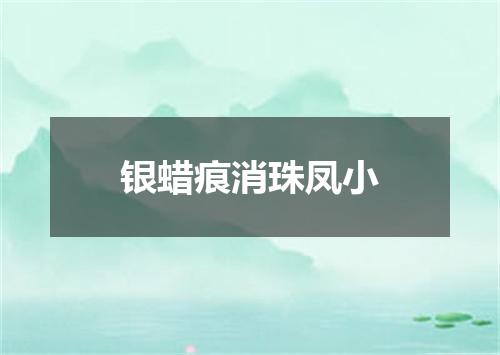 银蜡痕消珠凤小