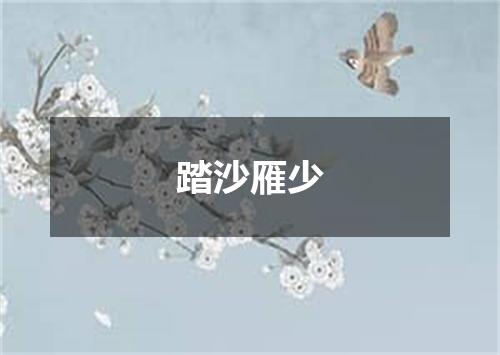 踏沙雁少