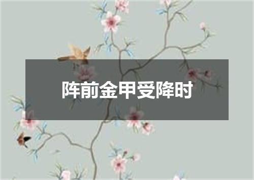 阵前金甲受降时
