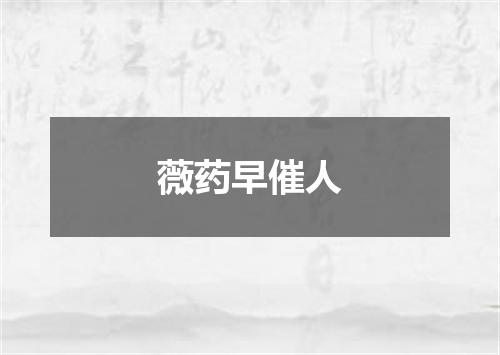 薇药早催人