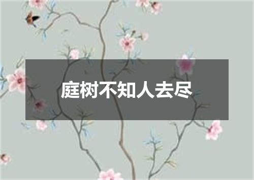庭树不知人去尽