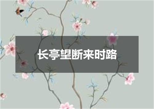 长亭望断来时路