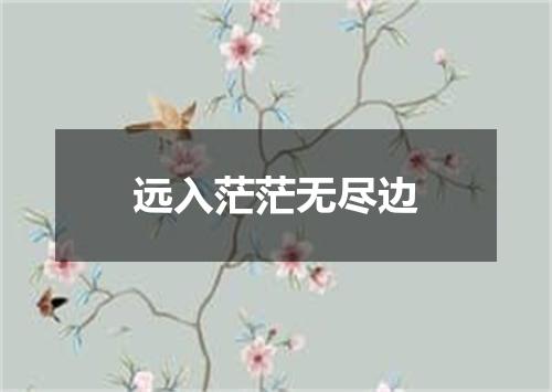 远入茫茫无尽边