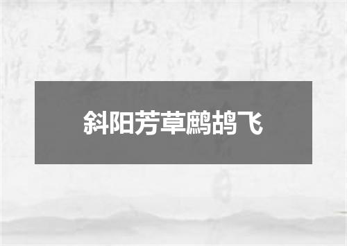 斜阳芳草鹧鸪飞