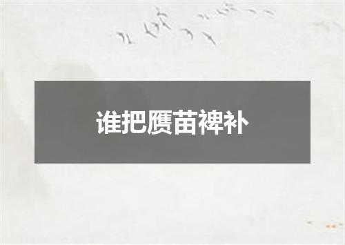 谁把赝苗裨补