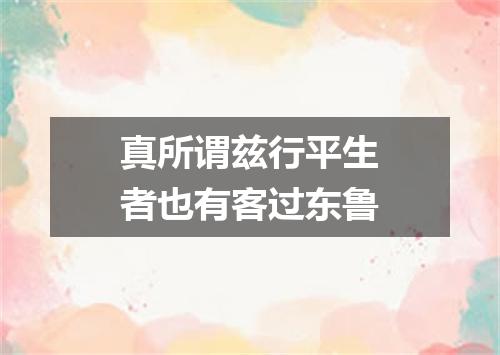 真所谓兹行平生者也有客过东鲁