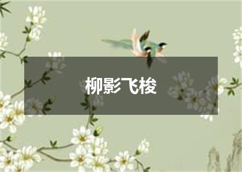 柳影飞梭