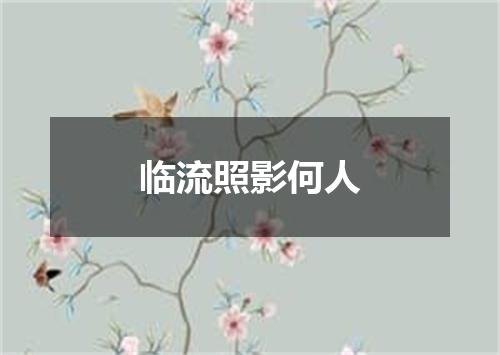 临流照影何人