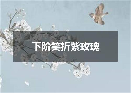 下阶笑折紫玫瑰