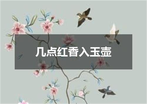 几点红香入玉壶