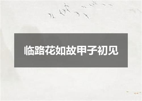 临路花如故甲子初见