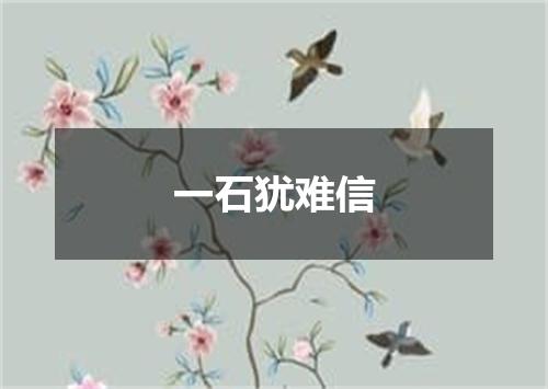 一石犹难信