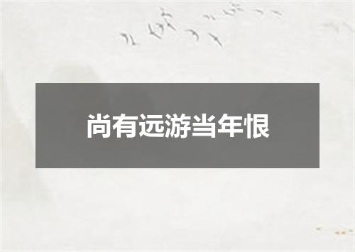 尚有远游当年恨