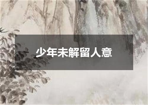 少年未解留人意