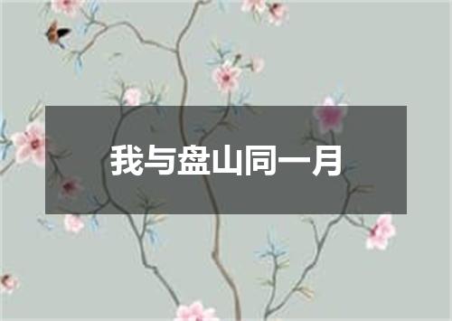 我与盘山同一月