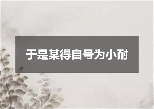 于是某得自号为小耐