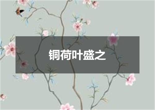 铜荷叶盛之