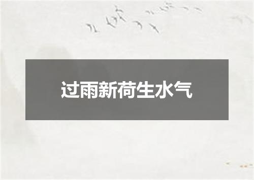 过雨新荷生水气