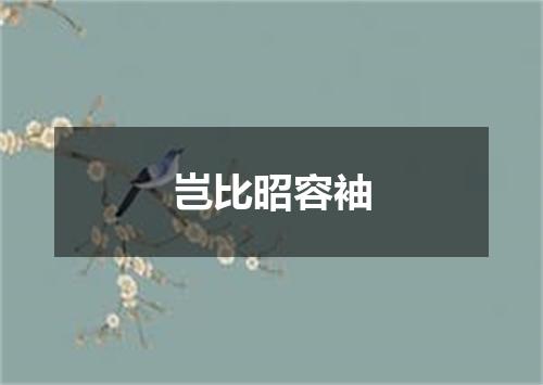 岂比昭容袖