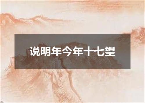 说明年今年十七望