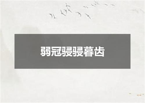弱冠骎骎暮齿