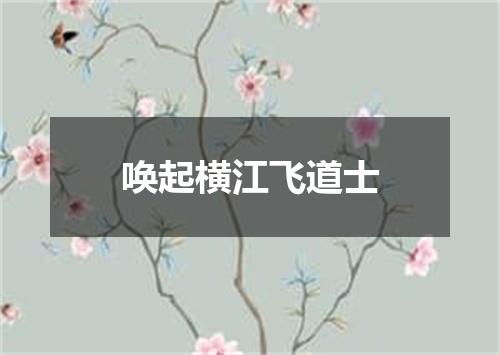 唤起横江飞道士