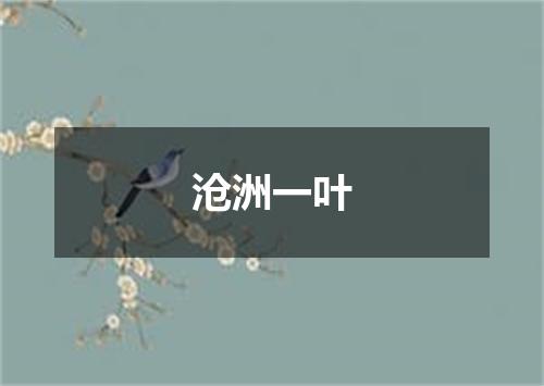 沧洲一叶