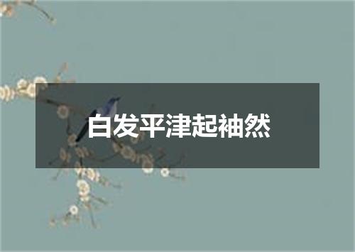 白发平津起袖然