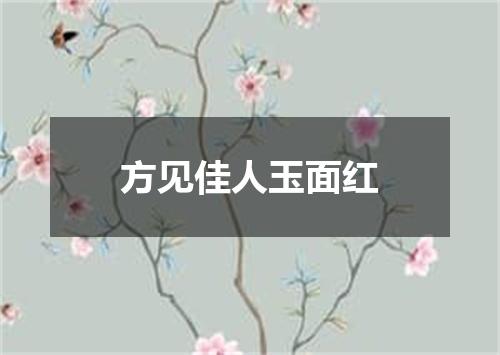 方见佳人玉面红