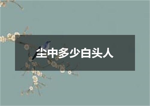 尘中多少白头人