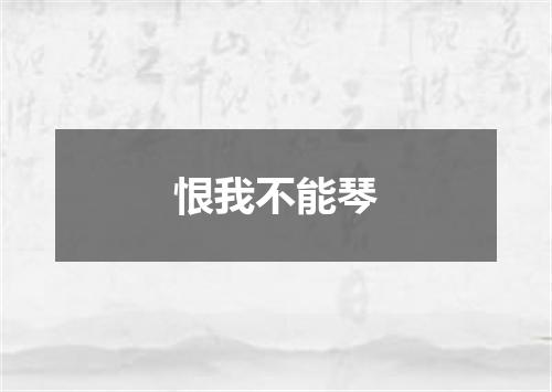 恨我不能琴