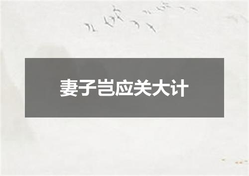 妻子岂应关大计