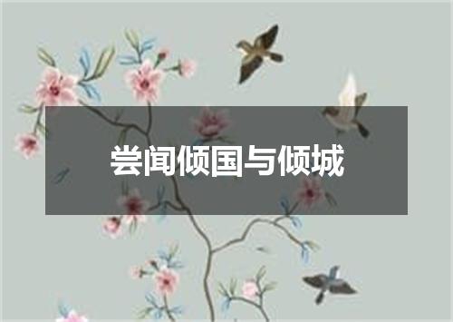 尝闻倾国与倾城