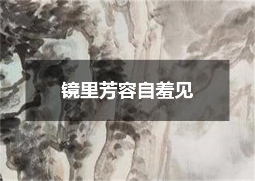镜里芳容自羞见