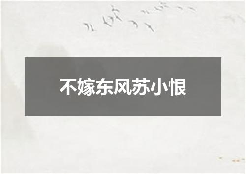不嫁东风苏小恨