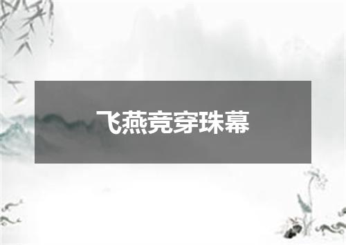 飞燕竞穿珠幕