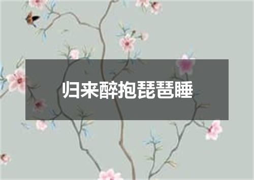 归来醉抱琵琶睡