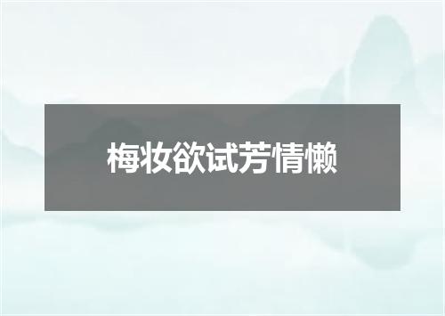 梅妆欲试芳情懒