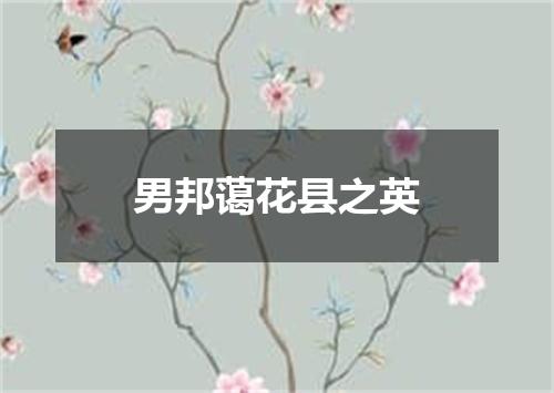 男邦蔼花县之英