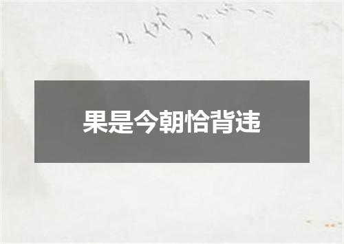 果是今朝恰背违