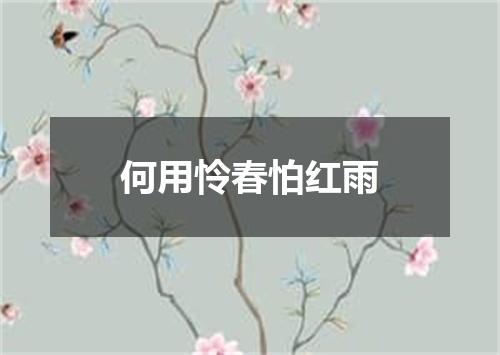 何用怜春怕红雨