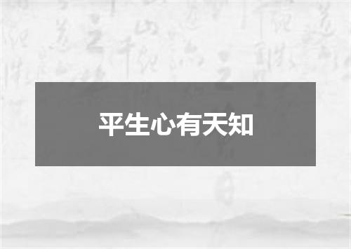 平生心有天知
