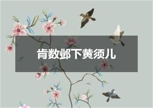 肯数邺下黄须儿