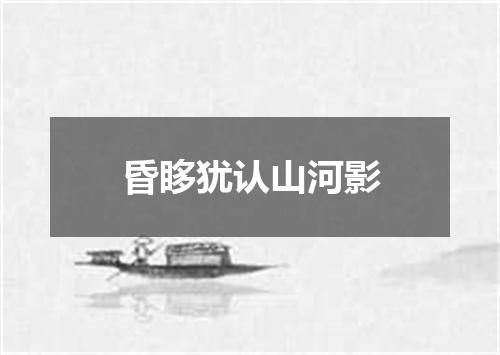 昏眵犹认山河影